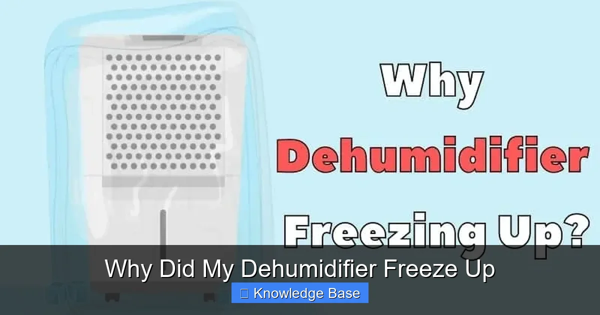 Why Did My Dehumidifier Freeze Up