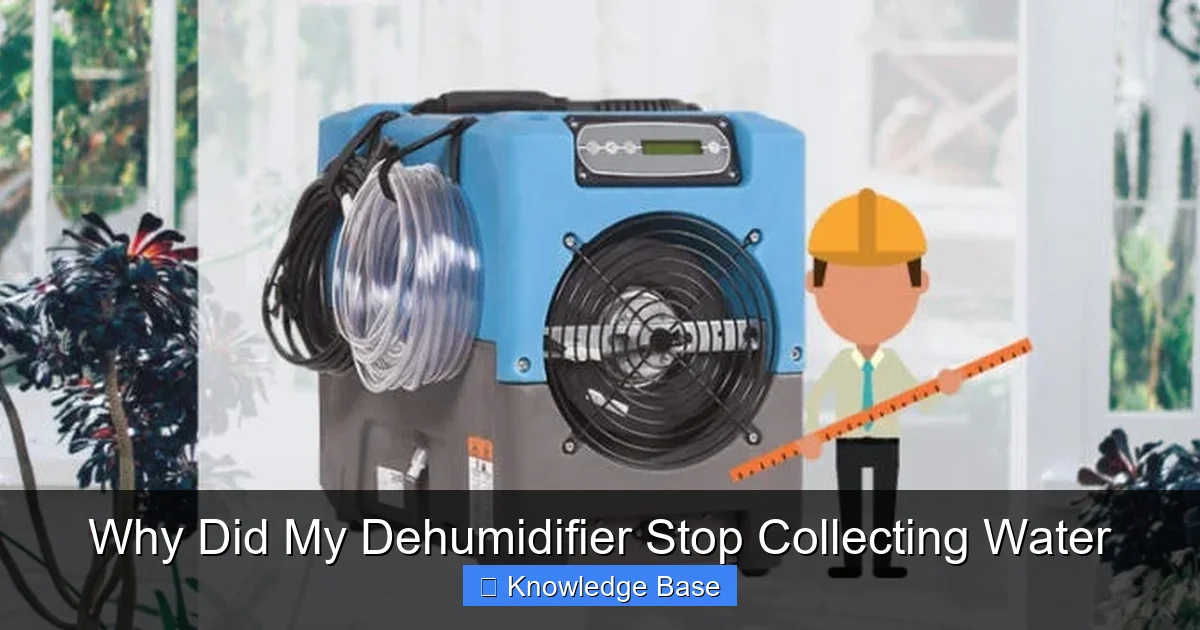 Why Did My Dehumidifier Stop Collecting Water
