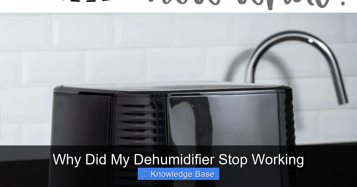 Why Did My Dehumidifier Stop Working