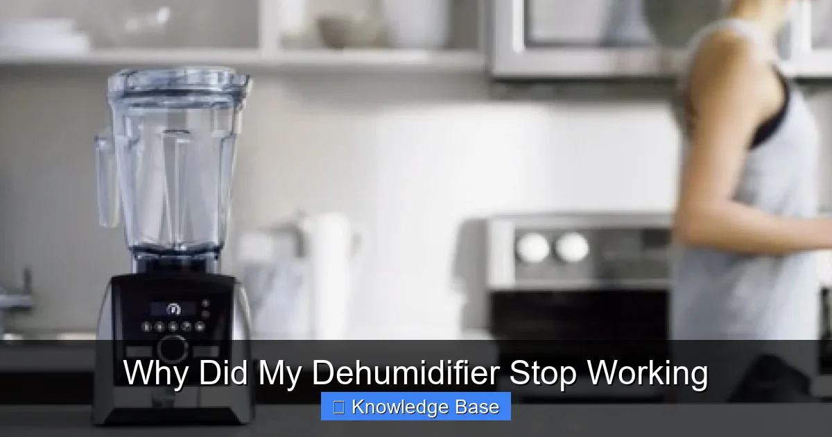 Why Did My Dehumidifier Stop Working