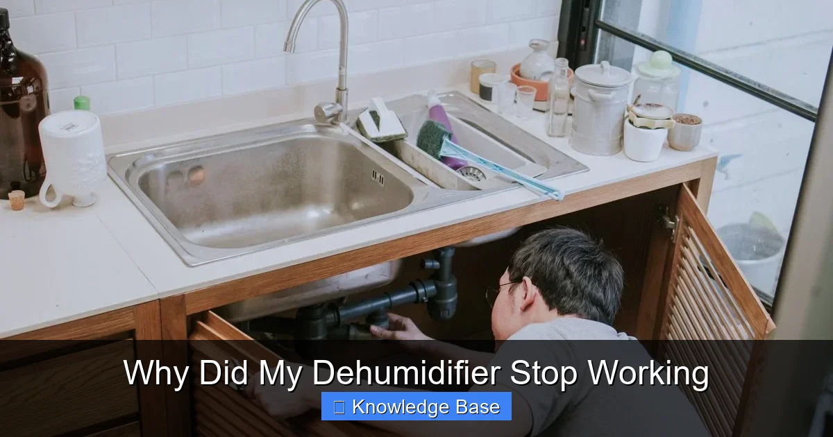 Why Did My Dehumidifier Stop Working