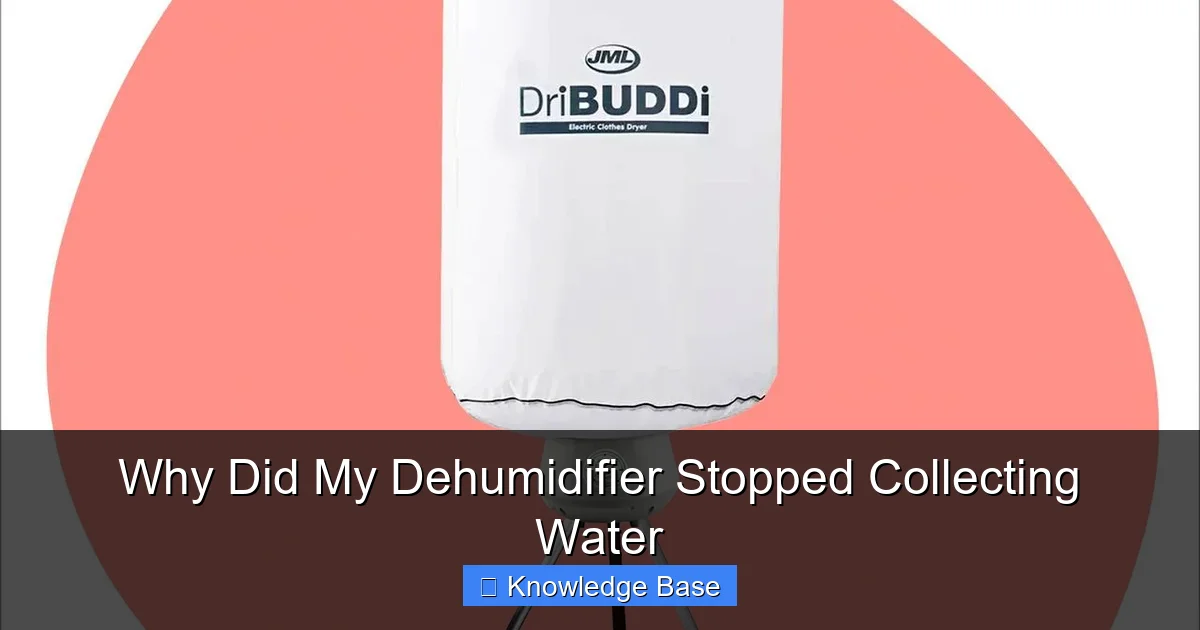 Why Did My Dehumidifier Stopped Collecting Water