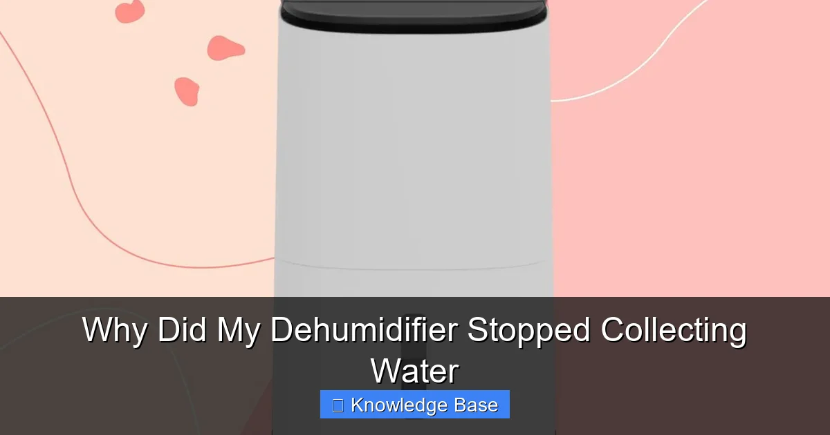 Why Did My Dehumidifier Stopped Collecting Water