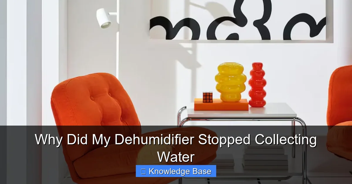 Why Did My Dehumidifier Stopped Collecting Water