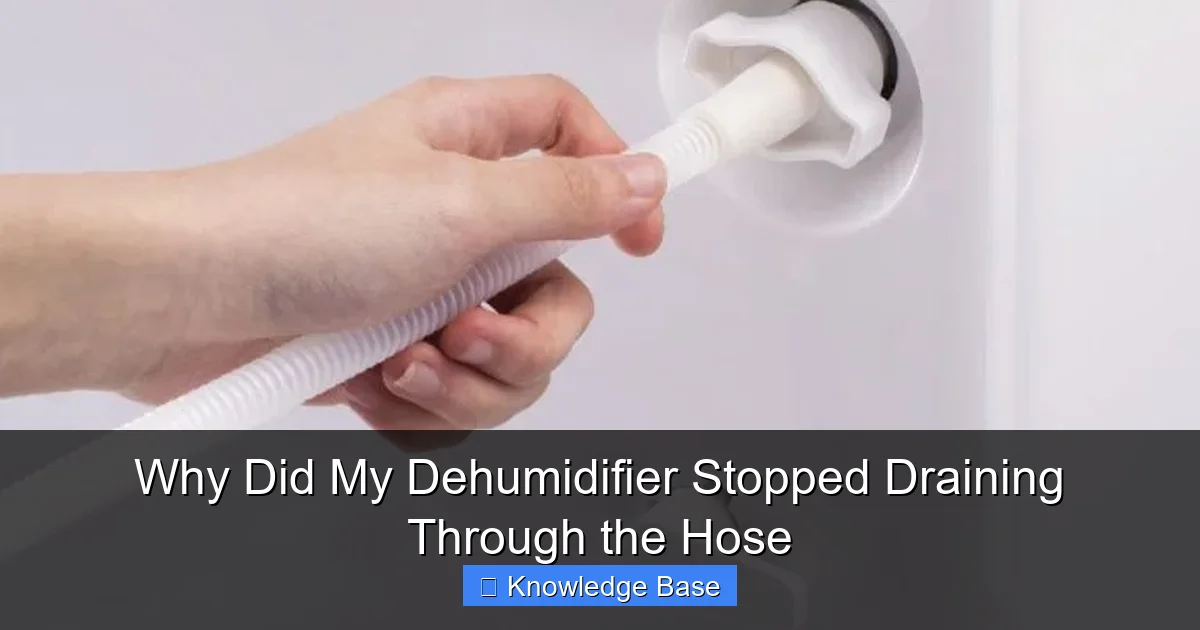 Why Did My Dehumidifier Stopped Draining Through the Hose
