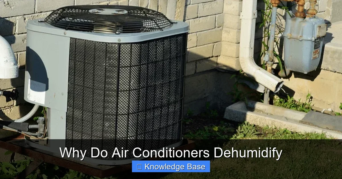 Why Do Air Conditioners Dehumidify