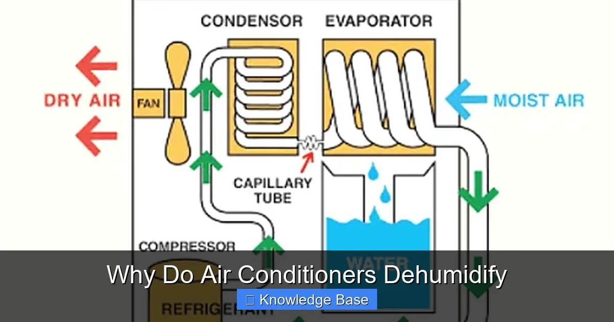 Why Do Air Conditioners Dehumidify