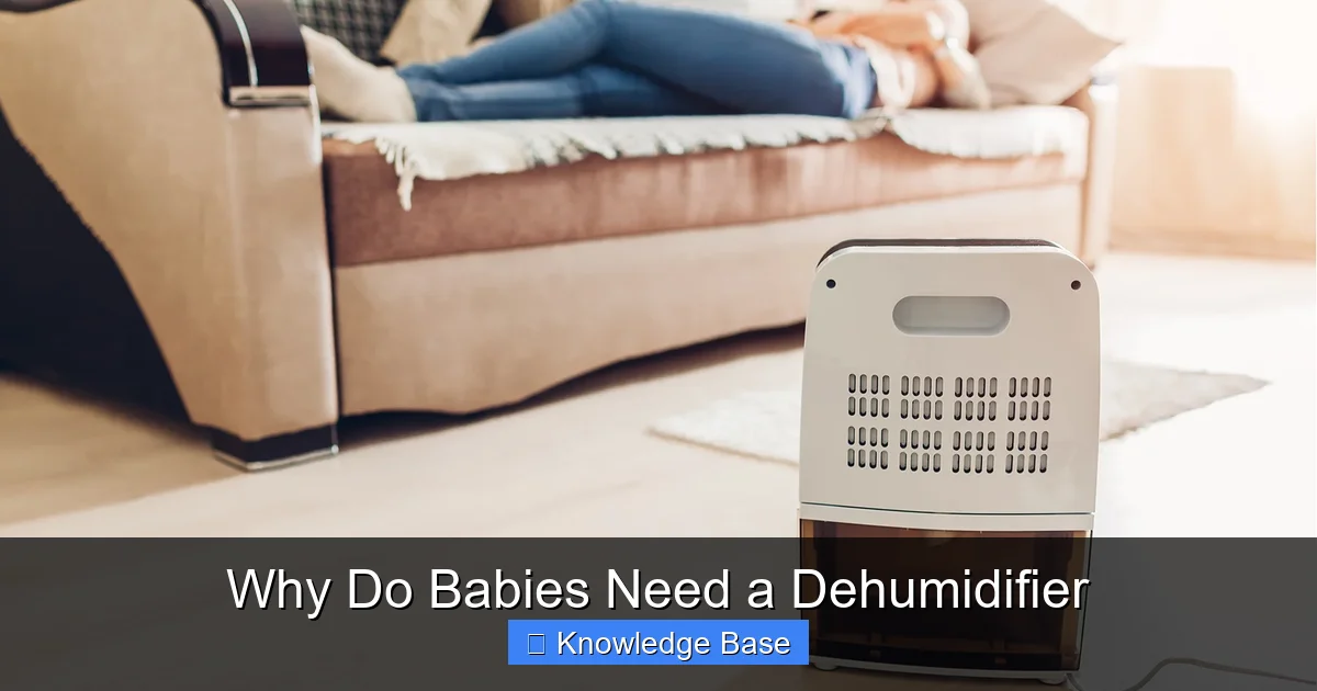 Why Do Babies Need a Dehumidifier