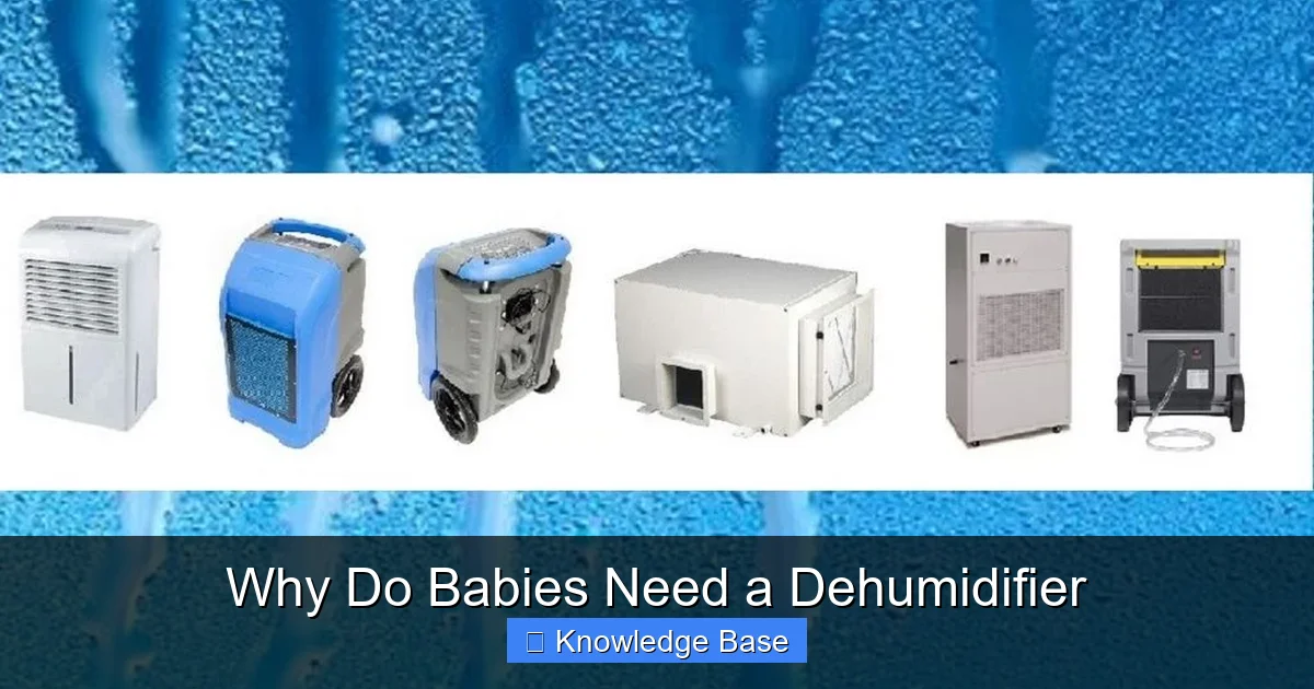 Why Do Babies Need a Dehumidifier