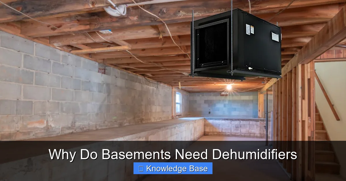 Why Do Basements Need Dehumidifiers