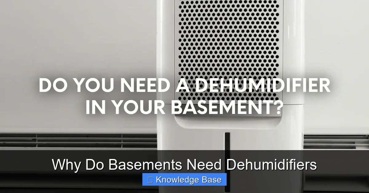 Why Do Basements Need Dehumidifiers