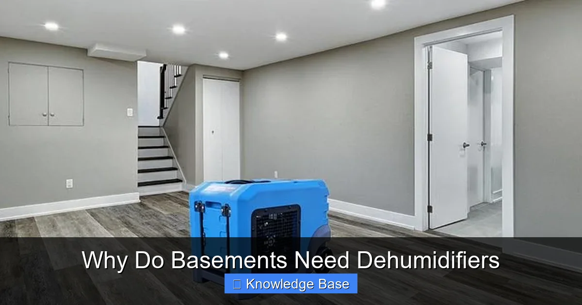 Why Do Basements Need Dehumidifiers