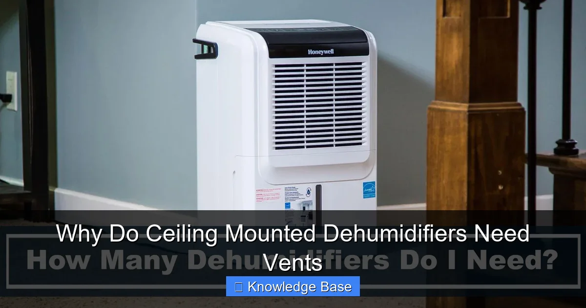 Why Do Ceiling Mounted Dehumidifiers Need Vents