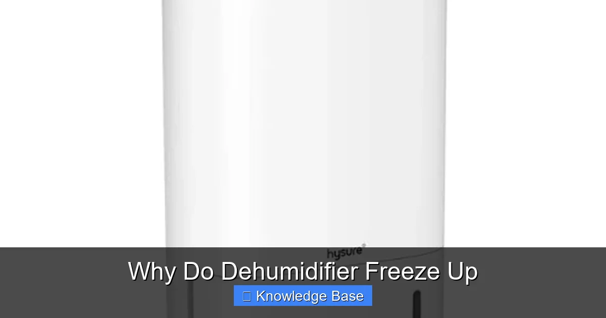 Why Do Dehumidifier Freeze Up