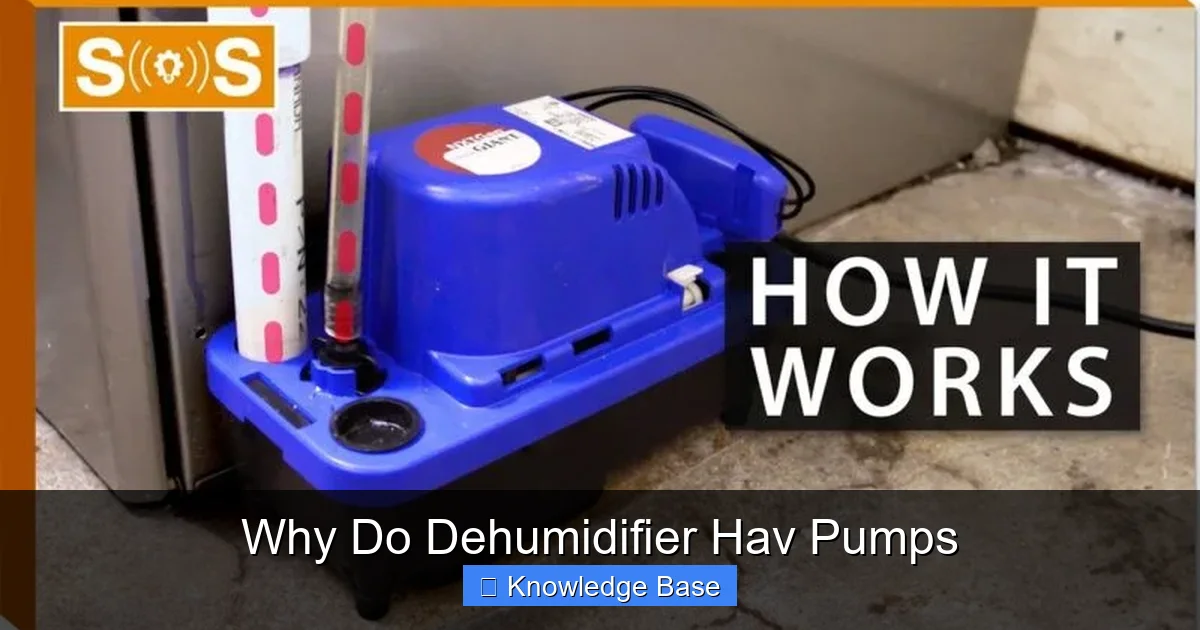 Why Do Dehumidifier Hav Pumps