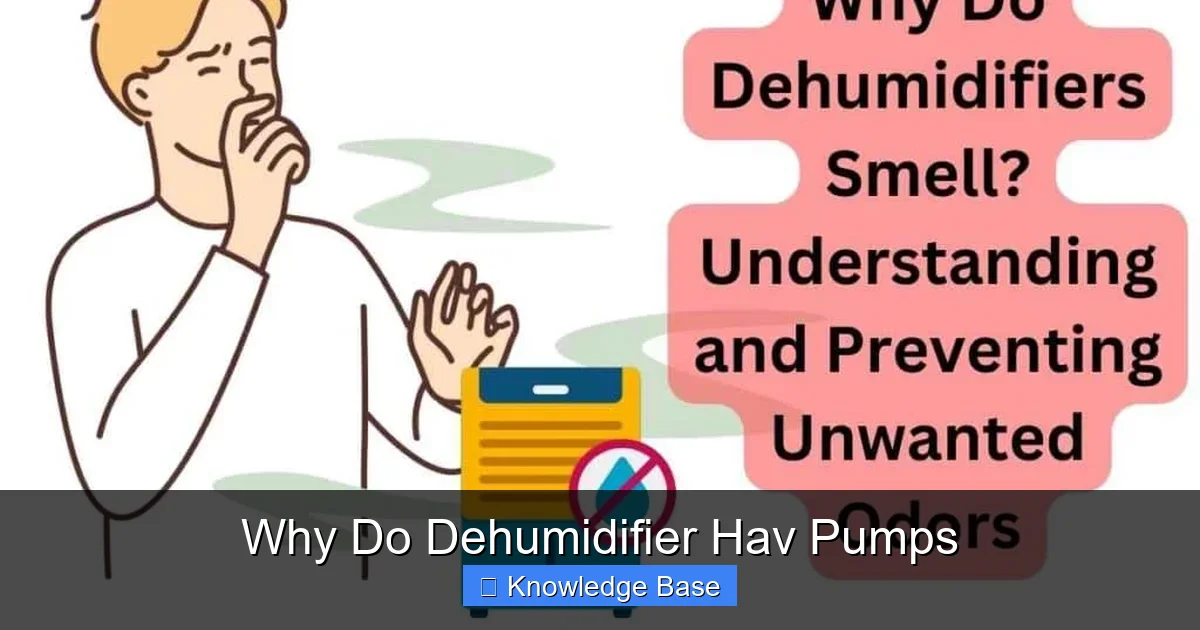 Why Do Dehumidifier Hav Pumps