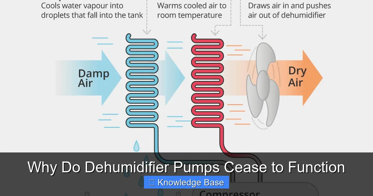 Why Do Dehumidifier Pumps Cease to Function