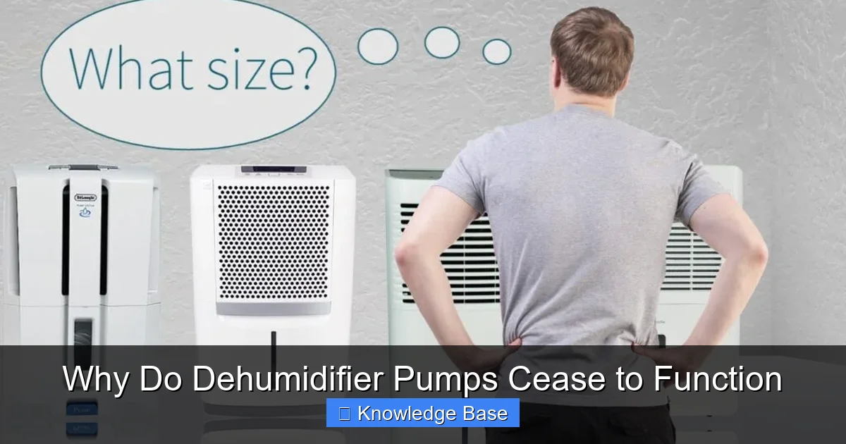 Why Do Dehumidifier Pumps Cease to Function