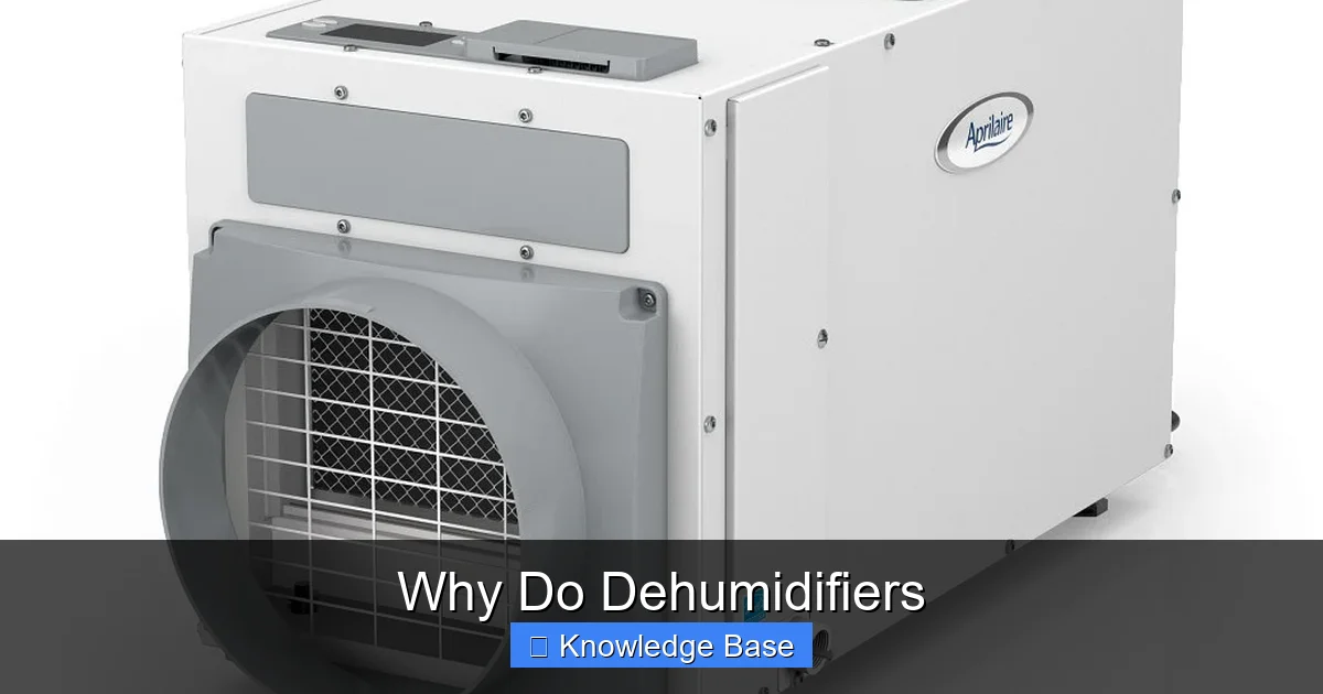 Why Do Dehumidifiers