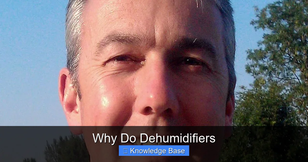 Why Do Dehumidifiers