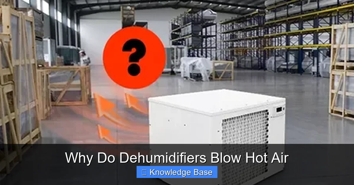 Why Do Dehumidifiers Blow Hot Air