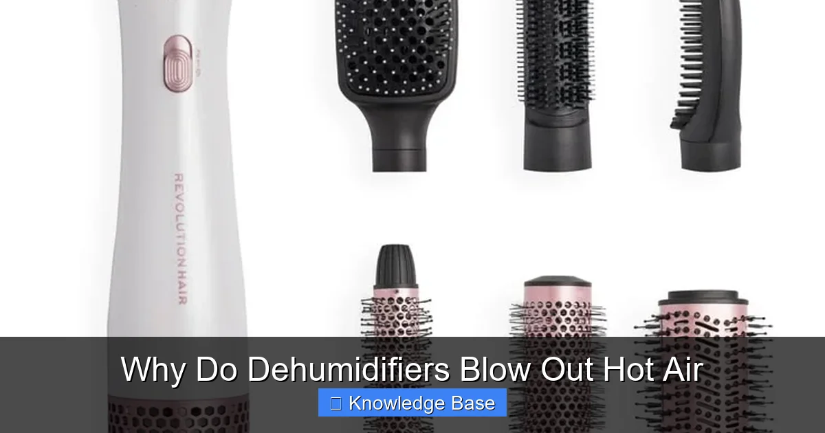 Why Do Dehumidifiers Blow Out Hot Air