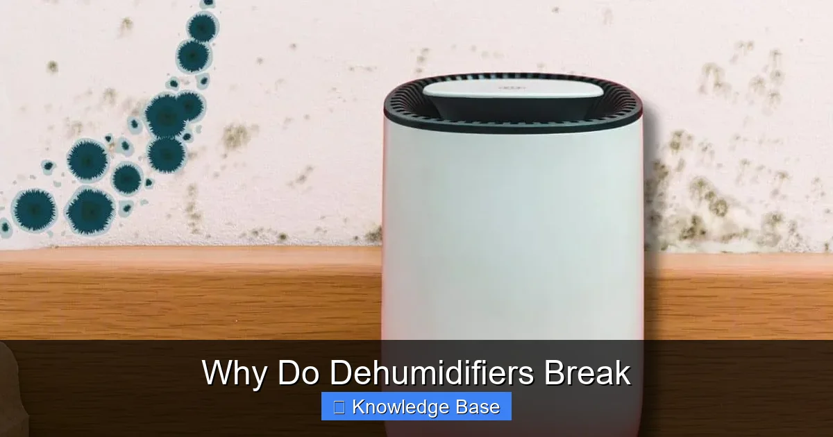 Why Do Dehumidifiers Break