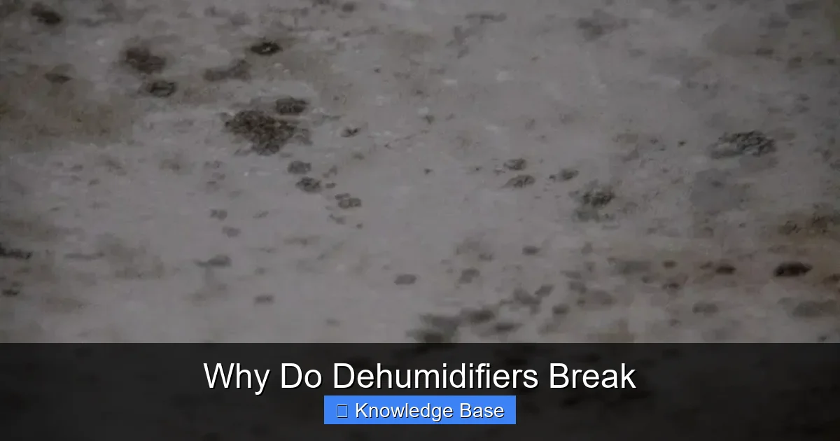 Why Do Dehumidifiers Break