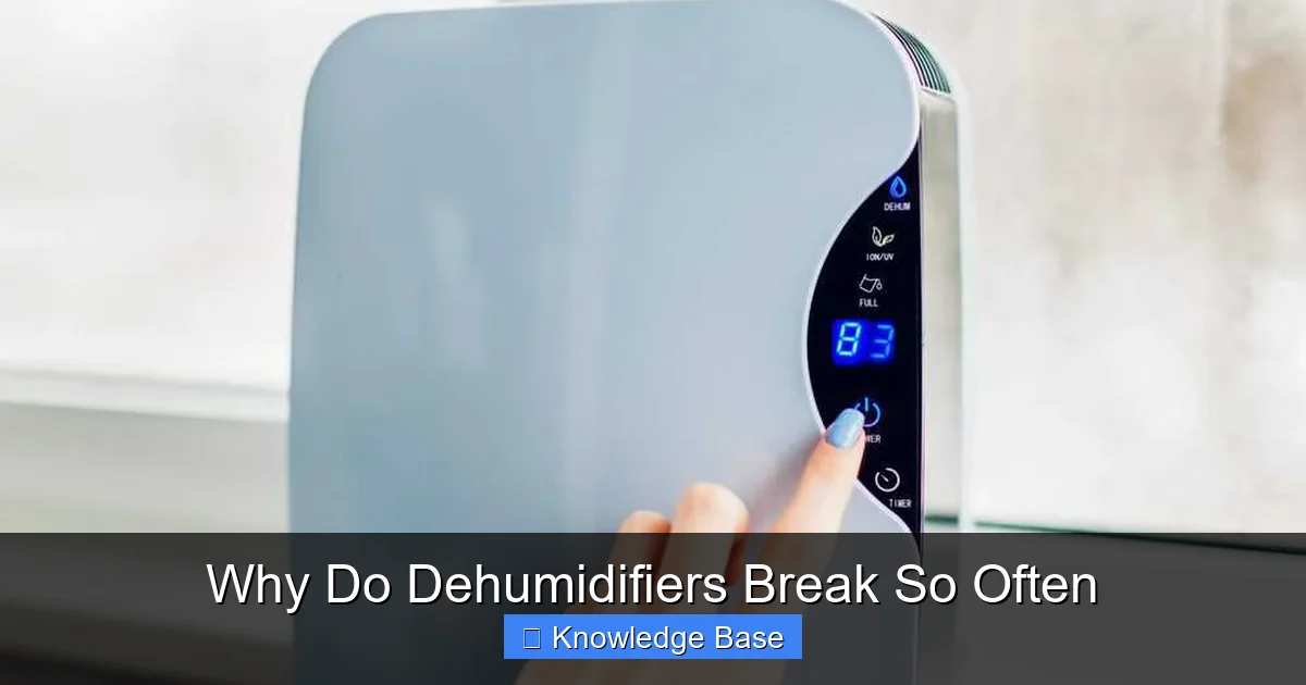 Why Do Dehumidifiers Break So Often