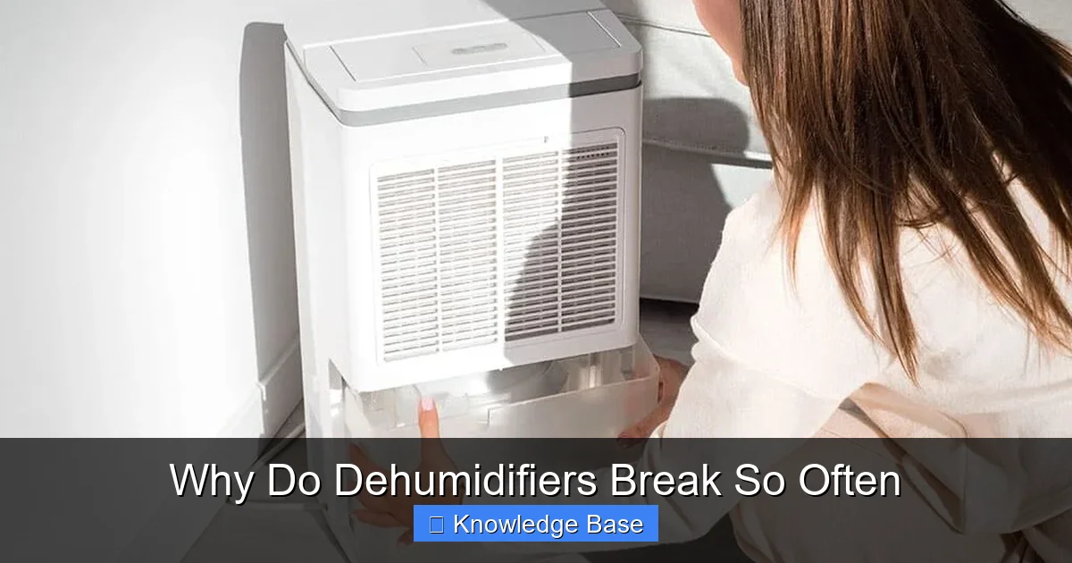 Why Do Dehumidifiers Break So Often
