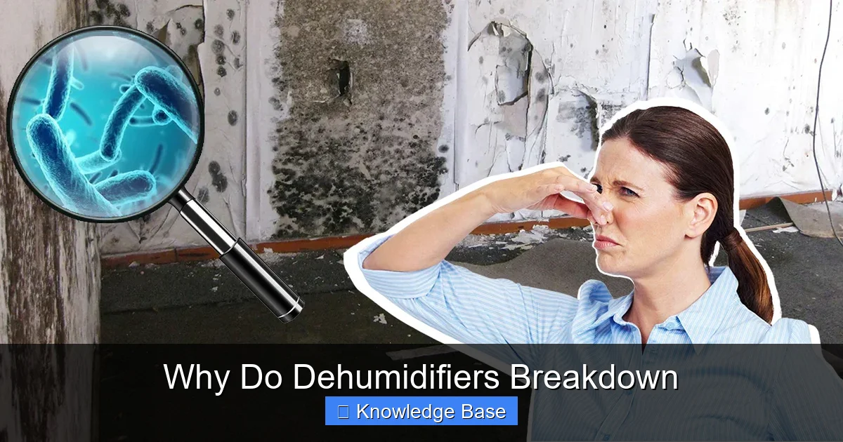 Why Do Dehumidifiers Breakdown