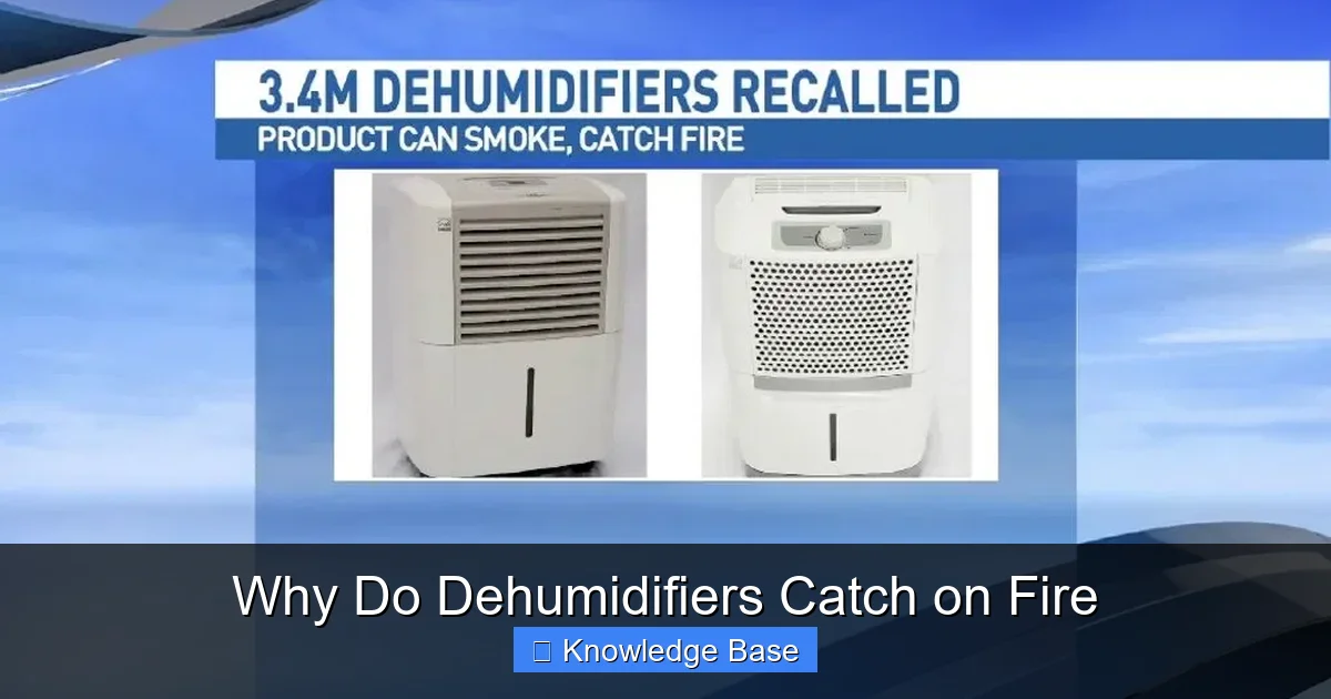 Why Do Dehumidifiers Catch on Fire