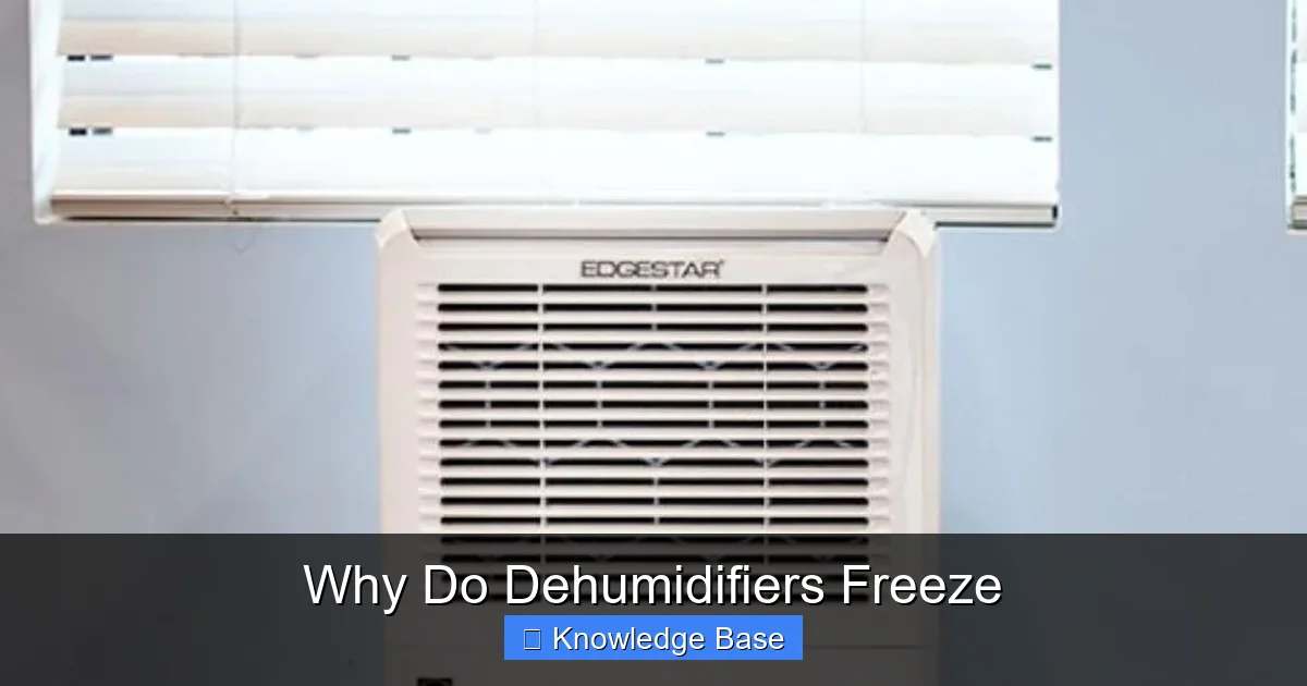 Why Do Dehumidifiers Freeze