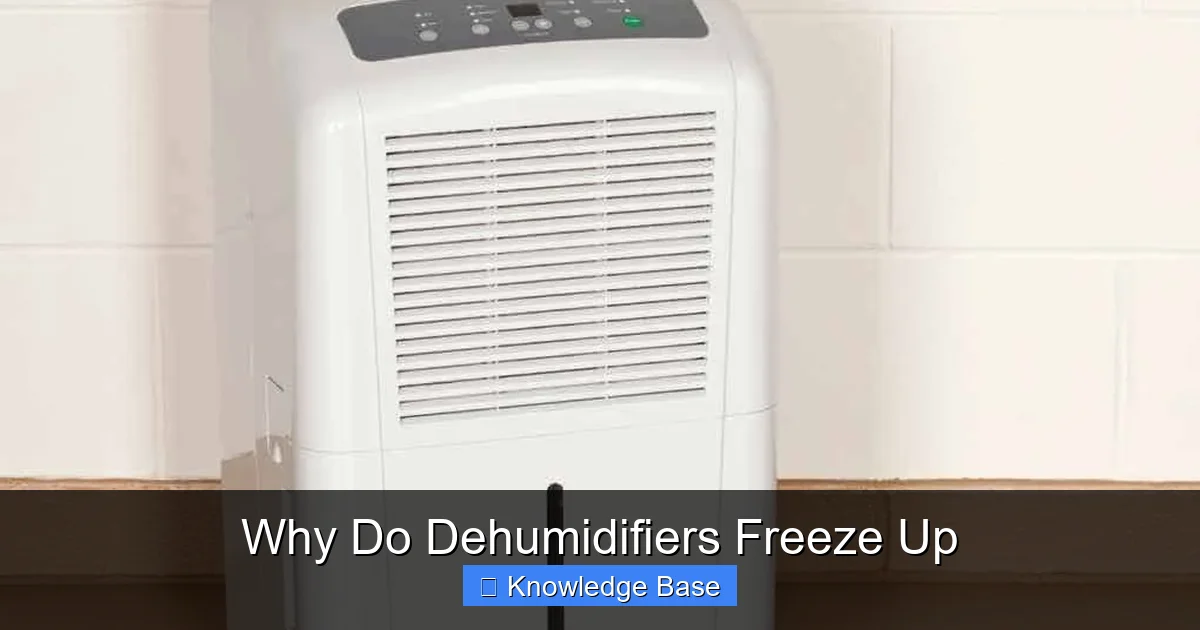 Why Do Dehumidifiers Freeze Up