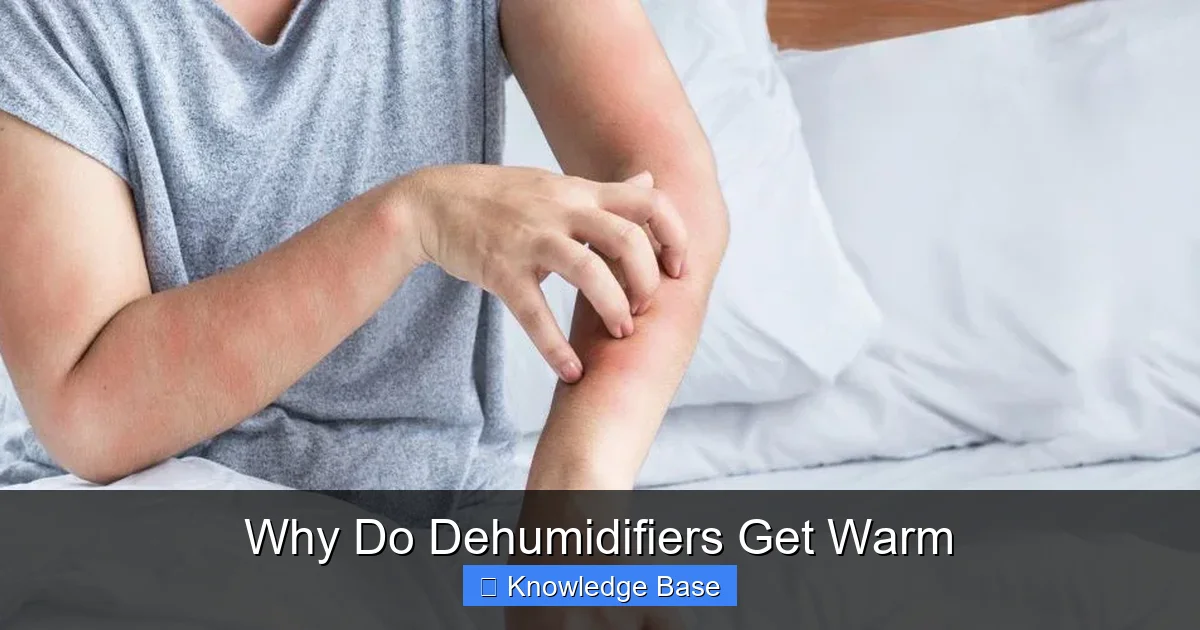 Why Do Dehumidifiers Get Warm