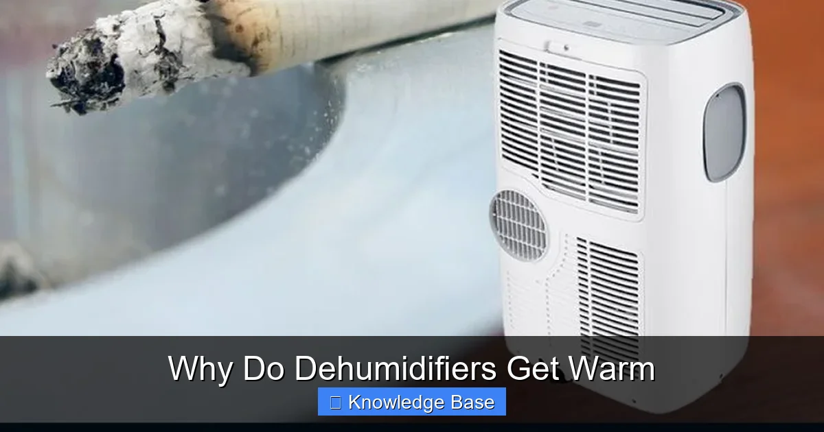 Why Do Dehumidifiers Get Warm