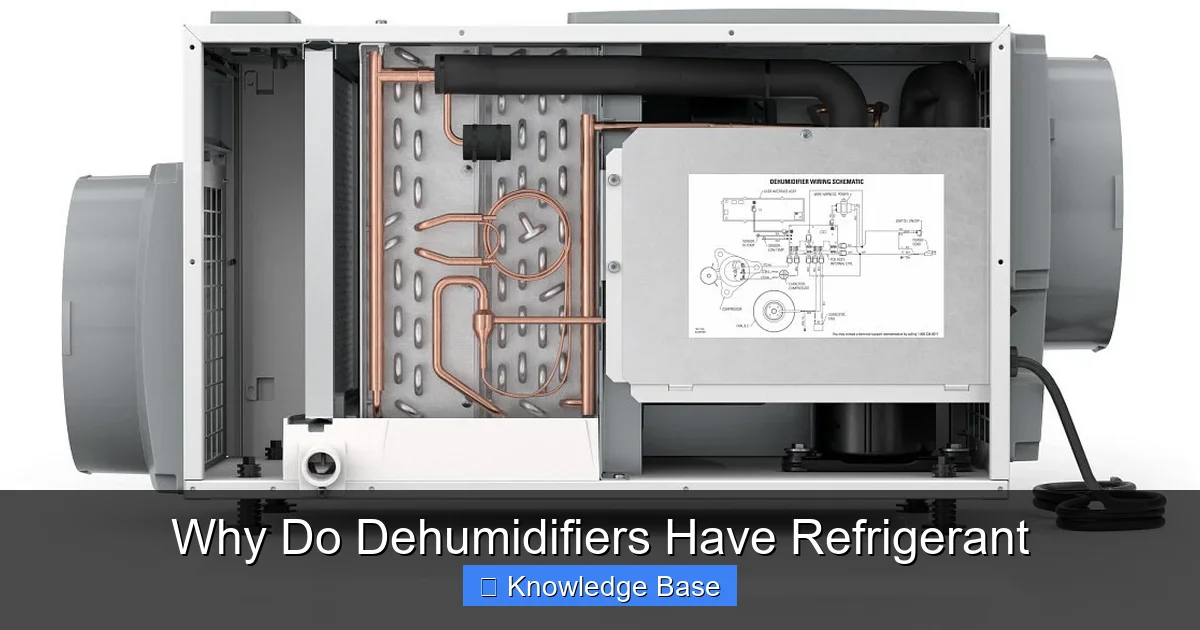 Why Do Dehumidifiers Have Refrigerant