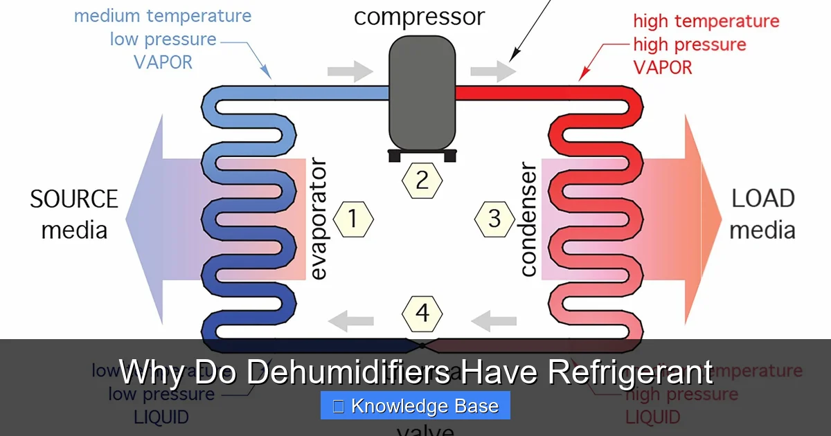 Why Do Dehumidifiers Have Refrigerant