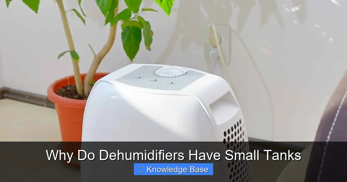 Why Do Dehumidifiers Have Small Tanks