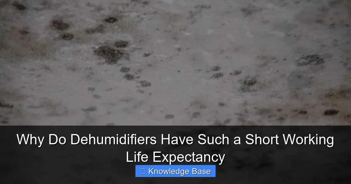 Why Do Dehumidifiers Have Such a Short Working Life Expectancy