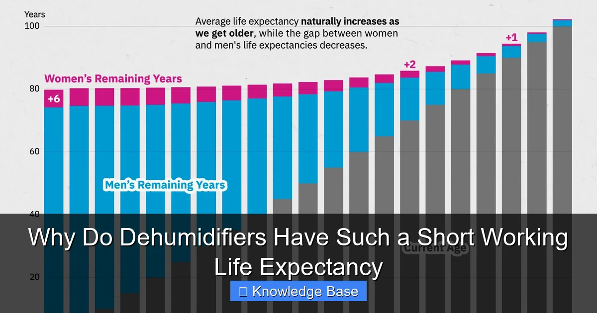 Why Do Dehumidifiers Have Such a Short Working Life Expectancy