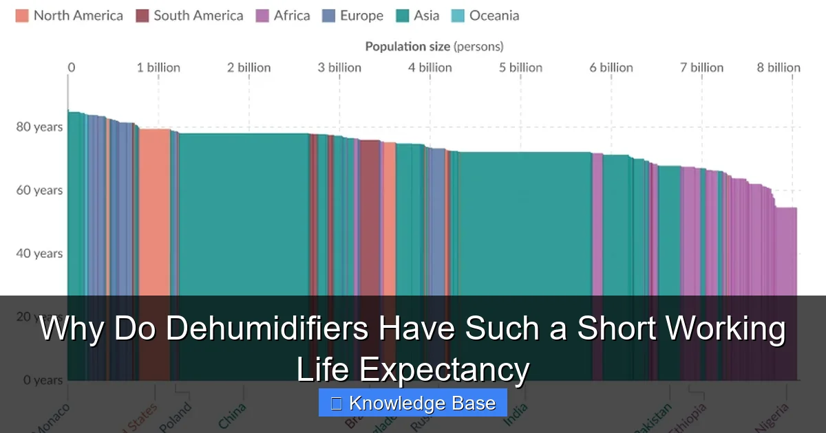 Why Do Dehumidifiers Have Such a Short Working Life Expectancy