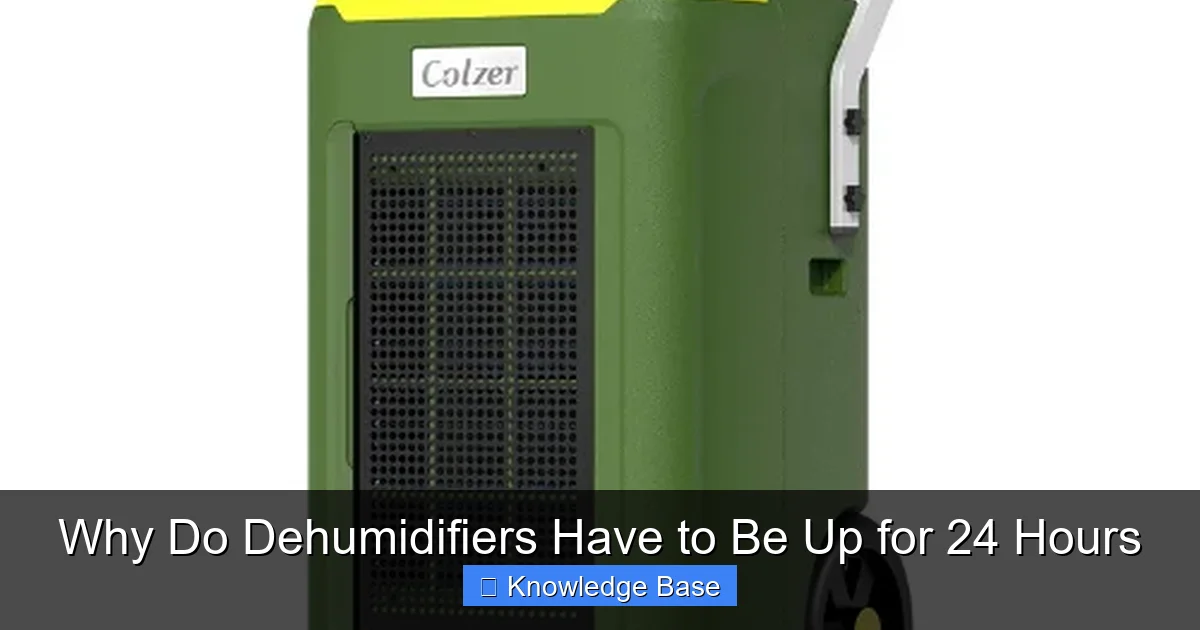 Why Do Dehumidifiers Have to Be Up for 24 Hours