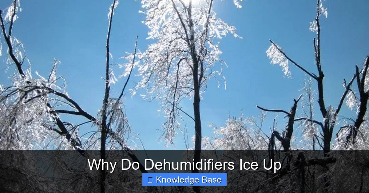 Why Do Dehumidifiers Ice Up
