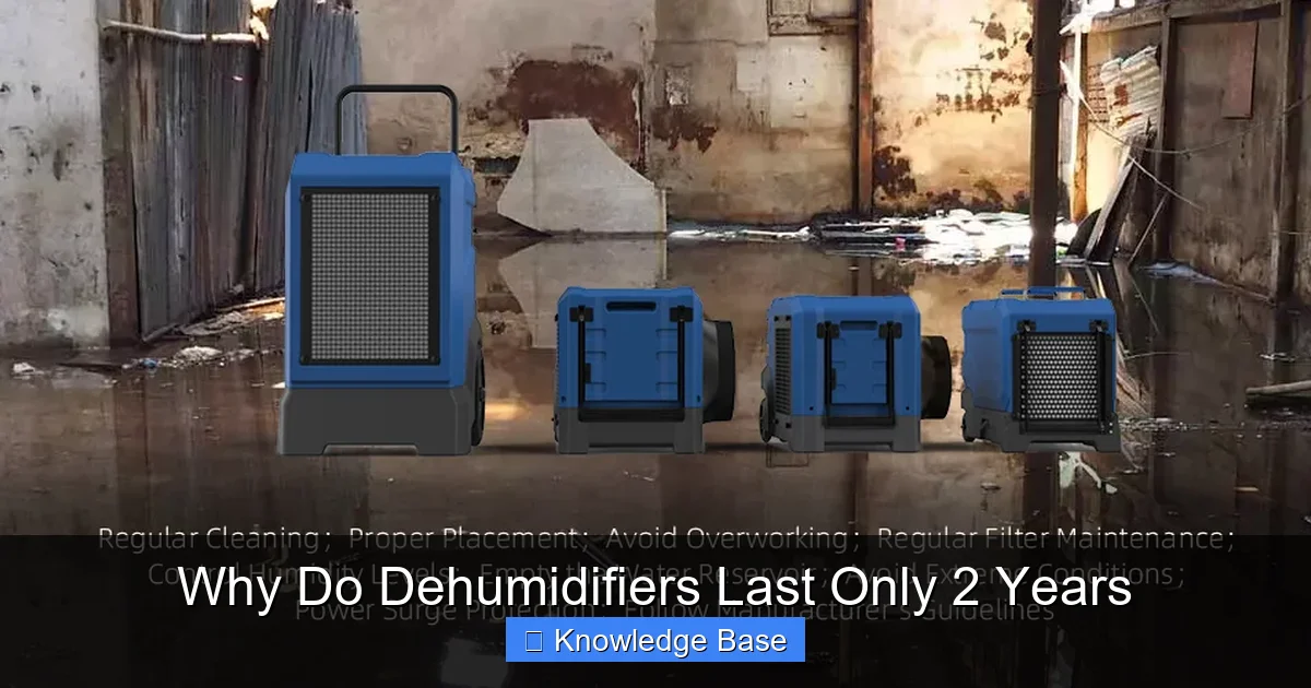 Why Do Dehumidifiers Last Only 2 Years