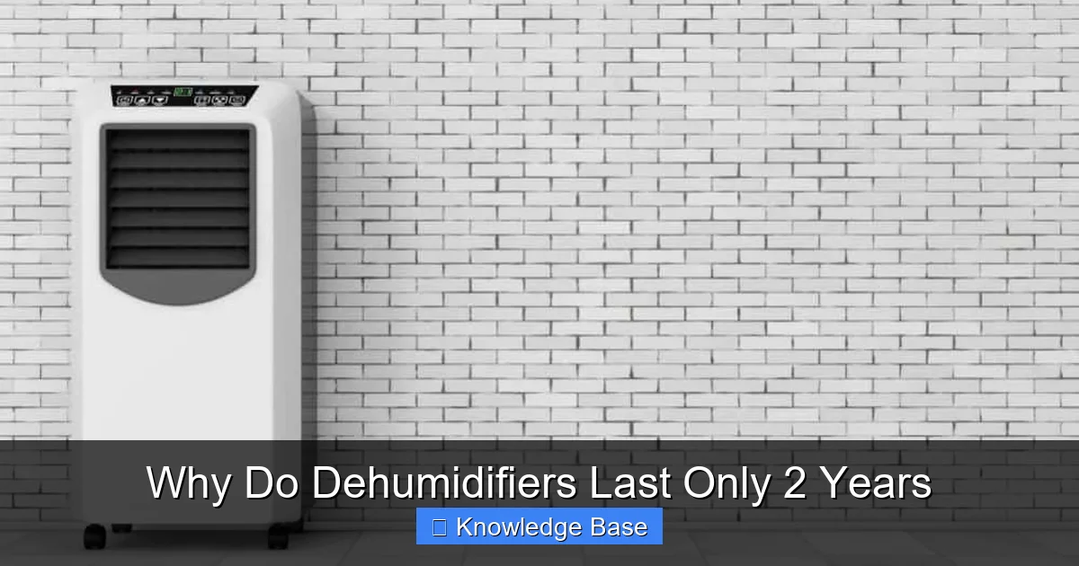 Why Do Dehumidifiers Last Only 2 Years
