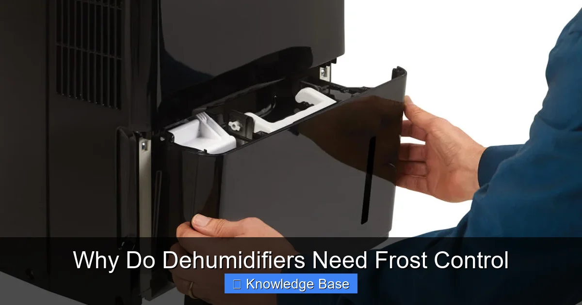 Why Do Dehumidifiers Need Frost Control