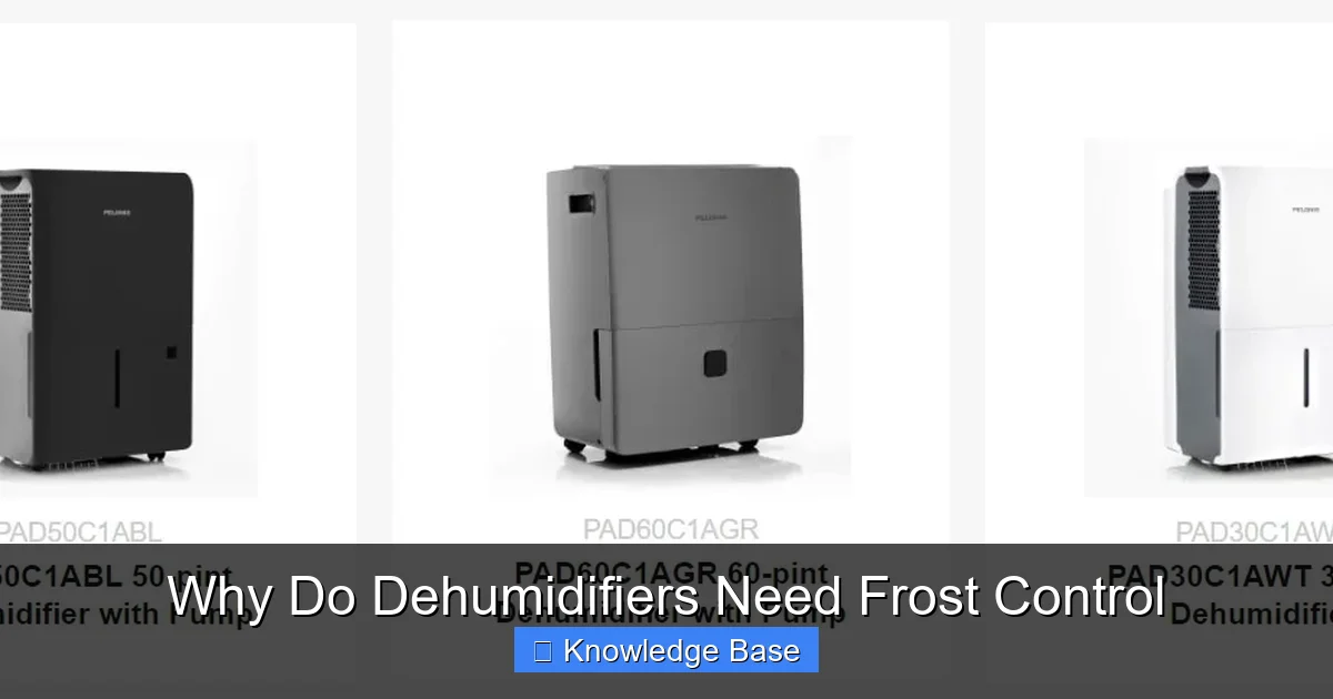 Why Do Dehumidifiers Need Frost Control