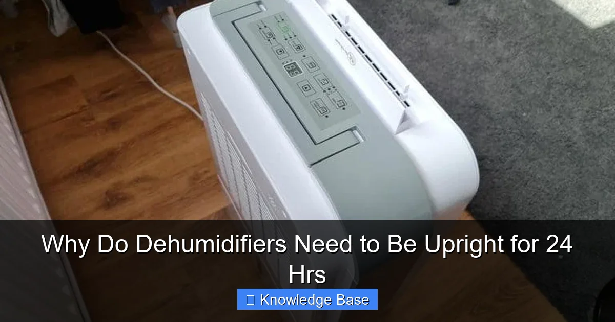Why Do Dehumidifiers Need to Be Upright for 24 Hrs