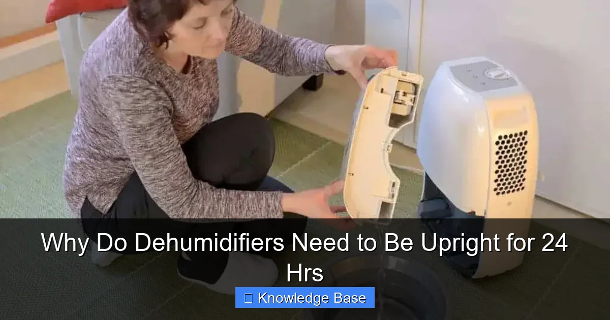 Why Do Dehumidifiers Need to Be Upright for 24 Hrs